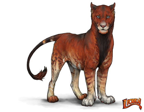 lioden wardrobe 2026 02 05T214122.227.png