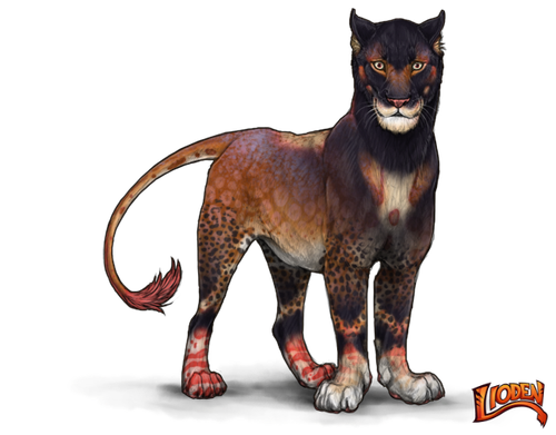 lioden wardrobe 2026 02 05T214045.245.png