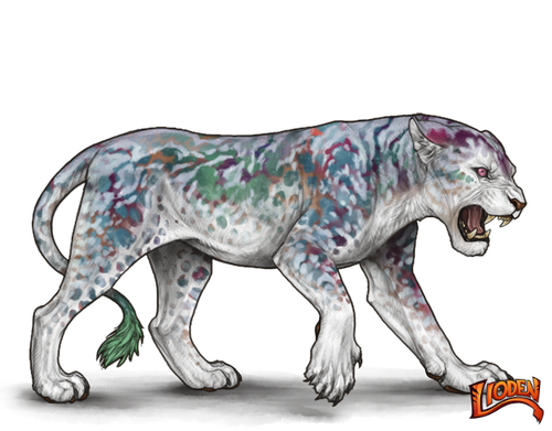 lioden wardrobe 2026 02 05T214249.968.png