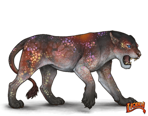 lioden wardrobe 2026 02 05T214311.352.png