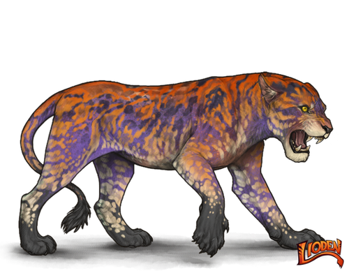 lioden wardrobe 2026 02 05T214155.292.png