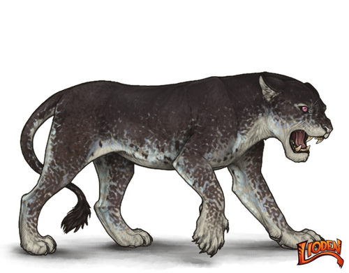 lioden wardrobe 2026 02 05T214224.246.png