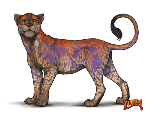 lioden wardrobe 2026 02 05T214405.304.png