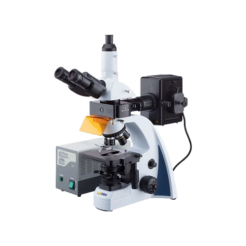 Fluorescence microscope LX1306FMS - Fluorescent Light Microscope.png