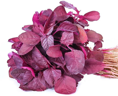 500 red spinach seed amaranthus.jpg