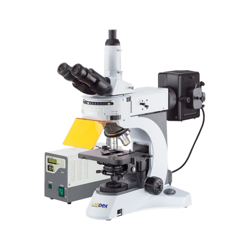 Fluorescence microscope LX1308FMS - Fluorescent Light Microscope.png