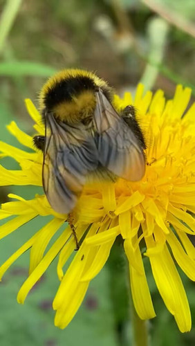 4mPY0pA06 Q2 UcJ.jpg