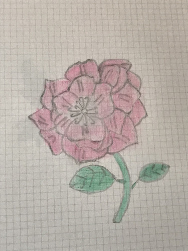 6401CCEE 1018 4FE0 BECD 6B3F0E86B3C3.jpg