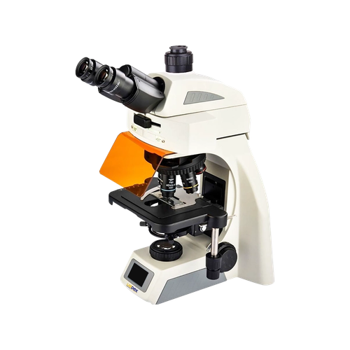 Fluorescence microscope LX1307FMS - Fluorescence Imaging.png