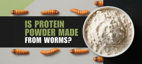 Is Protein Made From Worms The Truth Revealed.jpg