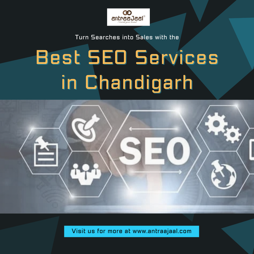 Best Seo services in chandigarh.png