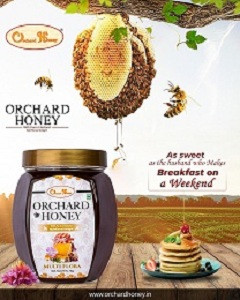 Multi Flora 1 Copy.jpg