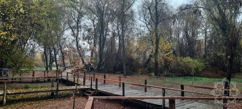 598799413 1305917078231235 353243063580775733 n.jpg?stp=dst jpg s590x590 tt6& nc cat=102&ccb=1 7& nc.jpg