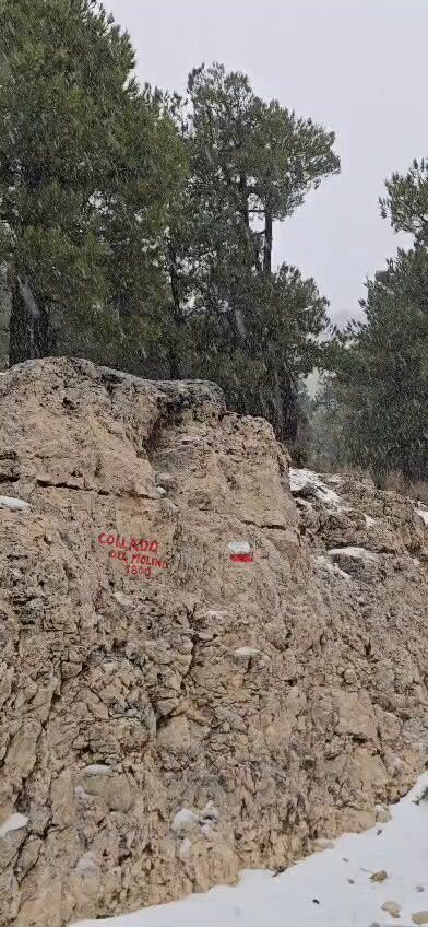 7GmF8Y qCgF6IFP7.jpg