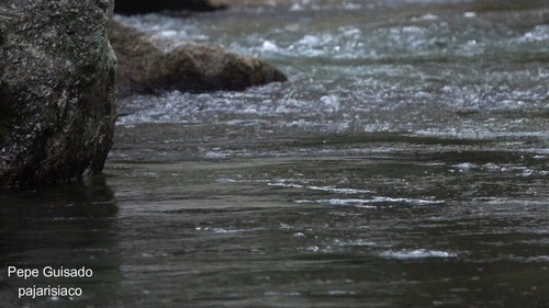 bM6NC YOvoPbud2v.jpg