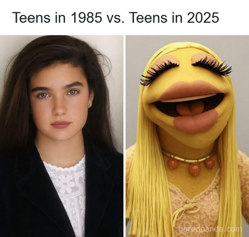 random funny memes posts rubberduckzilla.jpg