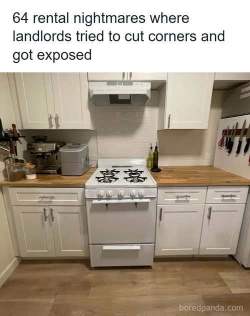infuriating landlords.png