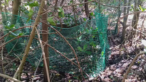 vM1acErVcOq46E7 .jpg