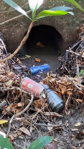 oer Gm7G7jV xW9n.jpg