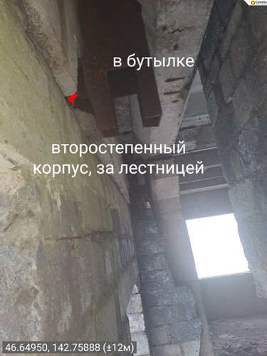 image.jpg