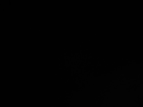 92671 billyx011 25000 1765885955980 650950847 resized.jpg