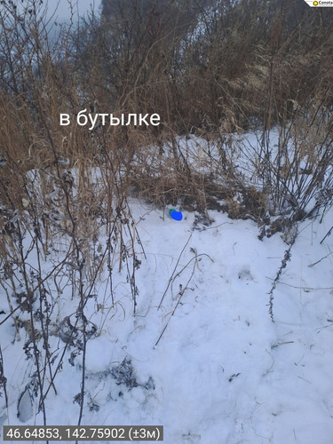 image.jpg