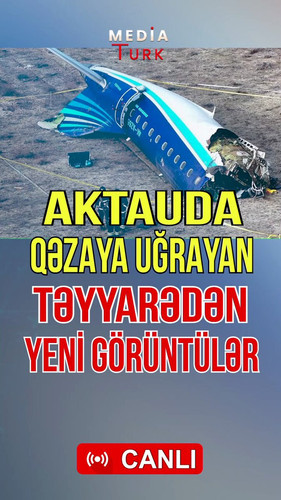 rEv0uSaL mMSeT7k.jpg