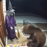 2025 12 16 21 21 11.png