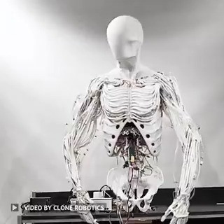 G8PfN5DWIAcMLL0.jpg