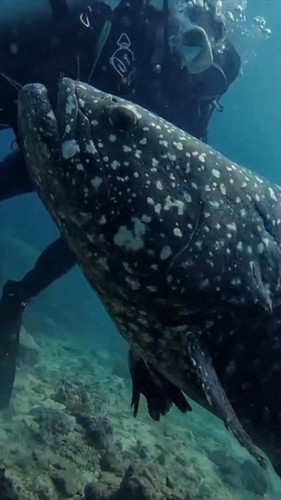 p pFzKowrF9BoLy7.jpg