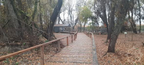 601926830 1305917038231239 5563982977533836352 n.jpg?stp=dst jpg s590x590 tt6& nc cat=106&ccb=1 7& n.jpg