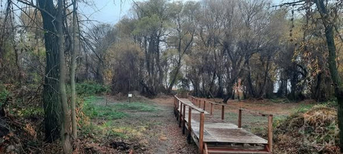 598777407 1305917171564559 1145491995134494963 n.jpg?stp=dst jpg s590x590 tt6& nc cat=111&ccb=1 7& n.jpg