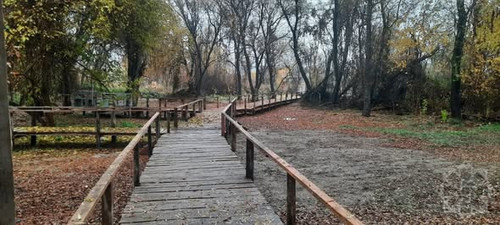 598875520 1305917114897898 252336596713162050 n.jpg?stp=dst jpg s590x590 tt6& nc cat=100&ccb=1 7& nc.jpg