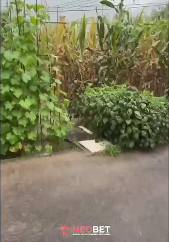 wPK zUUzq8BGgyjR.jpg