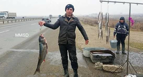 598887499 1282157573939169 7908994443018720094 n.jpg? nc cat=111&ccb=1 7& nc sid=127cfc& nc ohc=Fh56.jpg