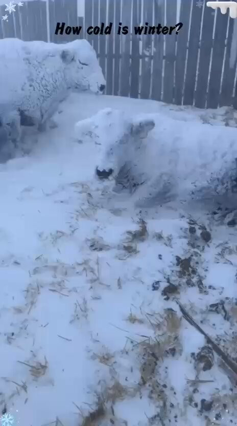 Y 0HijCTYnMdGZKz.jpg