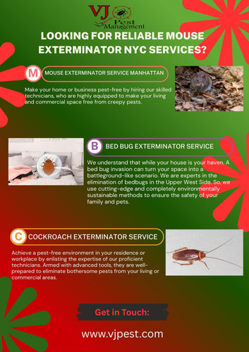 Need Professional Cockroach Control Treatment New York.jpg