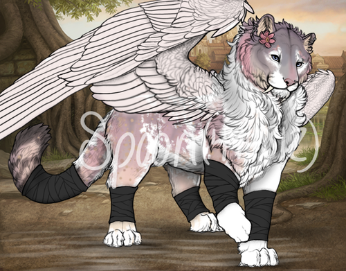 nim comma.png