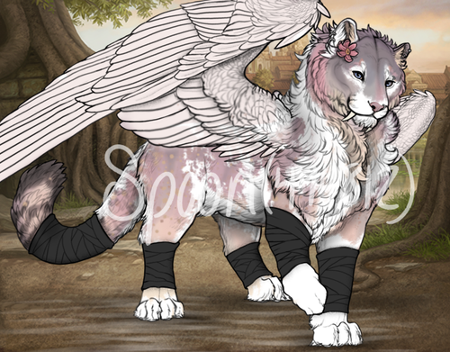 nim commb.png