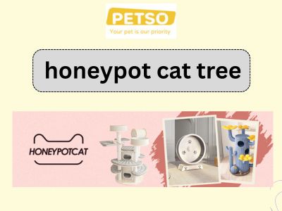 Stylish Honeypot Cat Tree for Climbing and Resting.jpg