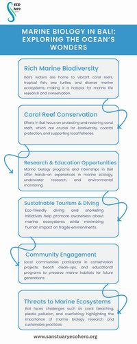Marine Biology in Bali Exploring the Ocean’s Wonders.jpg