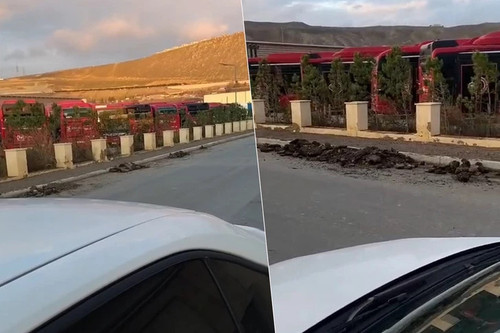 597881590 872508378507869 1148650765169679965 n.jpg? nc cat=110&ccb=1 7& nc sid=127cfc& nc ohc=oqLN5.jpg