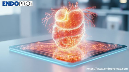 Images 2025 12 17T123129.137.jpg