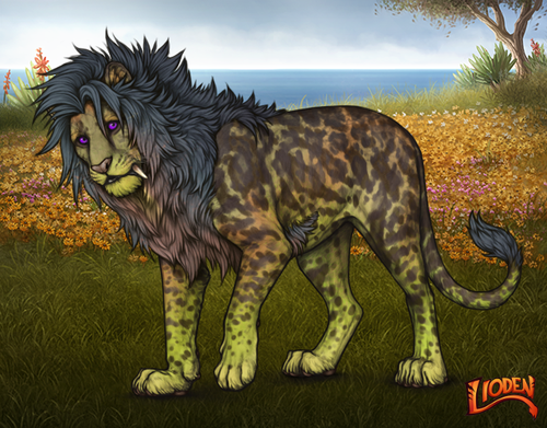 lioden wardrobe 2025 12 17T144758.957.png