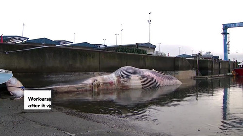 C 7w26rOdVw47TBL.jpg