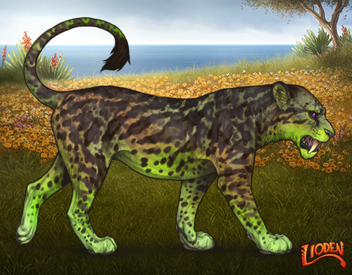 lioden wardrobe 2025 12 17T144908.633.png