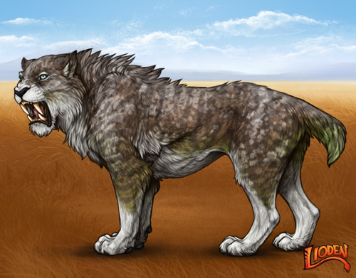 lioden wardrobe 2025 12 17T144438.793.png