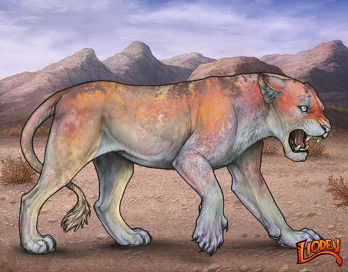 lioden wardrobe 2025 12 17T145809.131.png