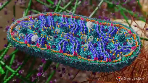 mVCIfhL9Z3VI Mrh.jpg