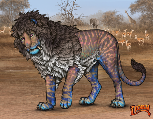 lioden wardrobe 2025 12 17T145316.848.png